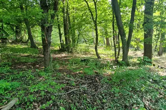 Plot in Sofiya, Gorna Banya