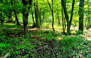 Парцел в София, Горна баня
