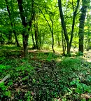 Парцел в София, Горна баня