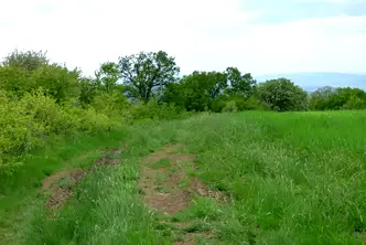Парцел в София, Горна баня