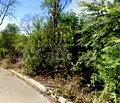 Снимка 3 — Парцел в Бургас, Горно Езерово