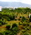 Парцел в София, Горубляне