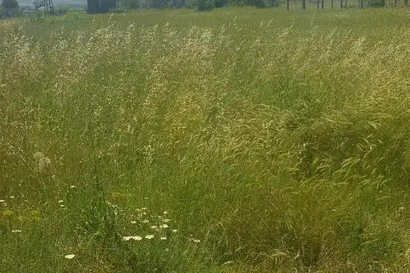 Парцел в Благоев, Грамада