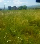 Парцел в Благоев, Грамада