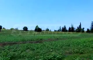 Парцел в Халкидики