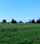 Парцел в Халкидики