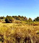 Парцел в Халкидики