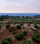 Парцел в Халкидики