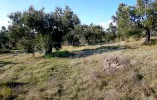 Парцел в Халкидики