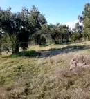 Парцел в Халкидики