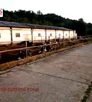 Парцел във Враца, Хранително-вкусова зона