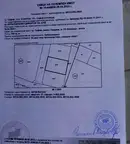 Парцел в София, Илиянци