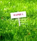 Парцел в Пловдив, Индустриална зона - Изток