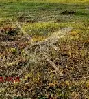 Парцел в Пловдив, Индустриална зона - Изток