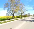 Снимка 3 — Парцел в Пловдив, Индустриална зона - Марица