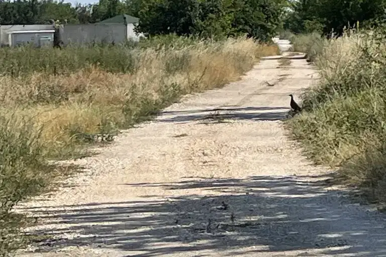 Plot in Plovdiv, Industrialna Zona - Sever