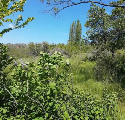 Photo 5 — Plot in Varna, Izgrev