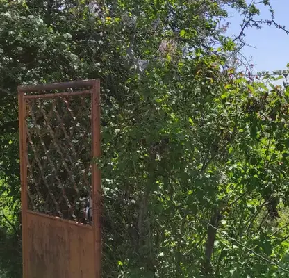 Photo 2 — Plot in Varna, Izgrev