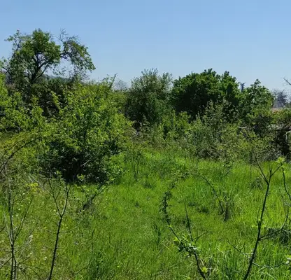 Photo 3 — Plot in Varna, Izgrev