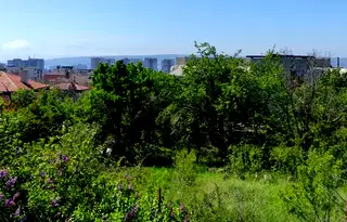 Парцел във Варна, Изгрев