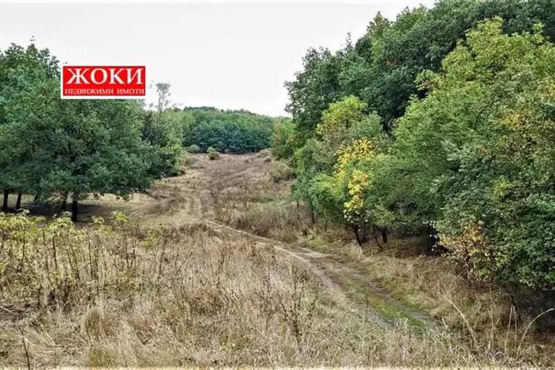 Plot in Pernik, Iztok