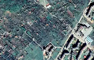Парцел в Монтана, Жерави
