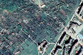 Парцел в Монтана, Жерави