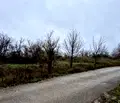 Снимка 3 — Парцел в Плевен, Кайлъка