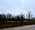 Снимка 4 — Парцел в Плевен, Кайлъка