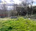 Снимка 3 — Парцел в Плевен, Кайлъка