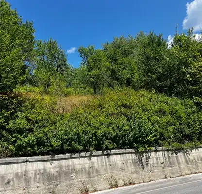 Photo 3 — Plot in Smolyan, Kaptaja