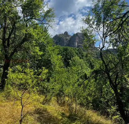 Photo 4 — Plot in Smolyan, Kaptaja