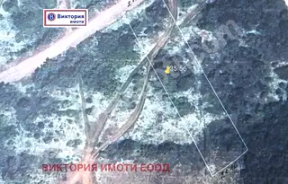 Парцел във Велико Търново, Картала