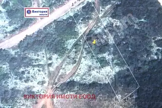 Парцел във Велико Търново, Картала