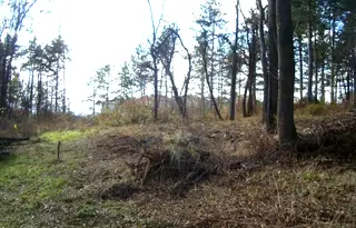 Парцел във Велико Търново, Картала