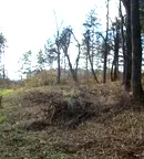 Парцел във Велико Търново, Картала