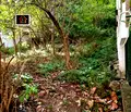 Снимка 2 — Парцел във Враца, Кемера - Художник