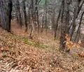 Снимка 4 — Парцел в София, Княжево