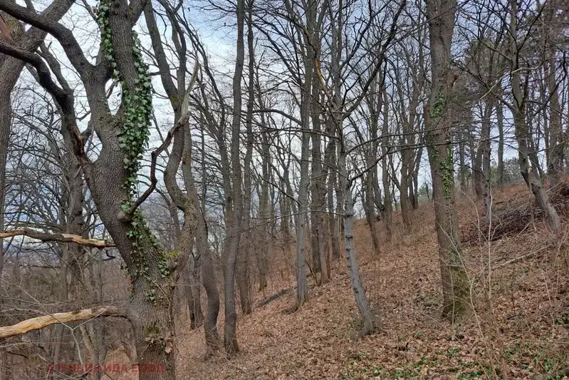 Парцел в София, Княжево