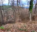 Снимка 4 — Парцел в София, Княжево