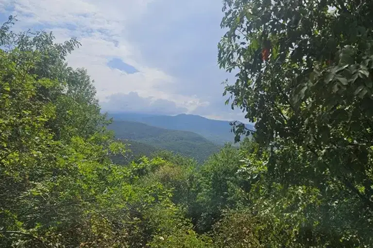 Парцел в София, Княжево