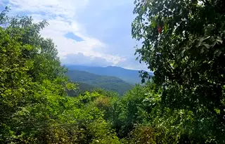 Парцел в София, Княжево