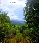 Парцел в София, Княжево