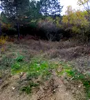 Парцел в Кюстендил, Колуша