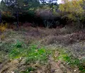 Снимка 3 — Парцел в Кюстендил, Колуша