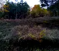 Снимка 4 — Парцел в Кюстендил, Колуша
