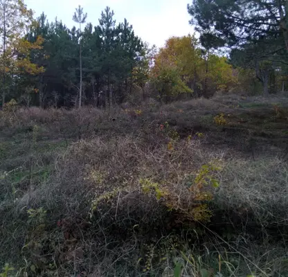 Photo 4 — Plot in Kyustendil, Kolusha