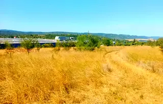 Парцел във Велико Търново, Колю Фичето