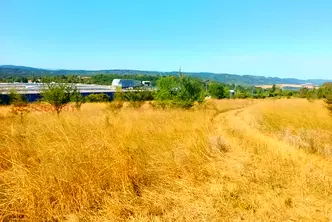 Парцел във Велико Търново, Колю Фичето