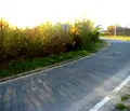 Снимка 2 — Парцел във Велико Търново, Колю Фичето